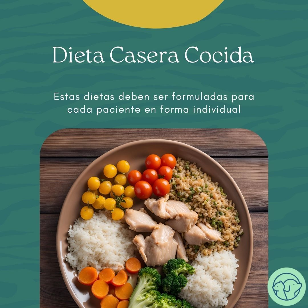 Dieta Casera Cocida